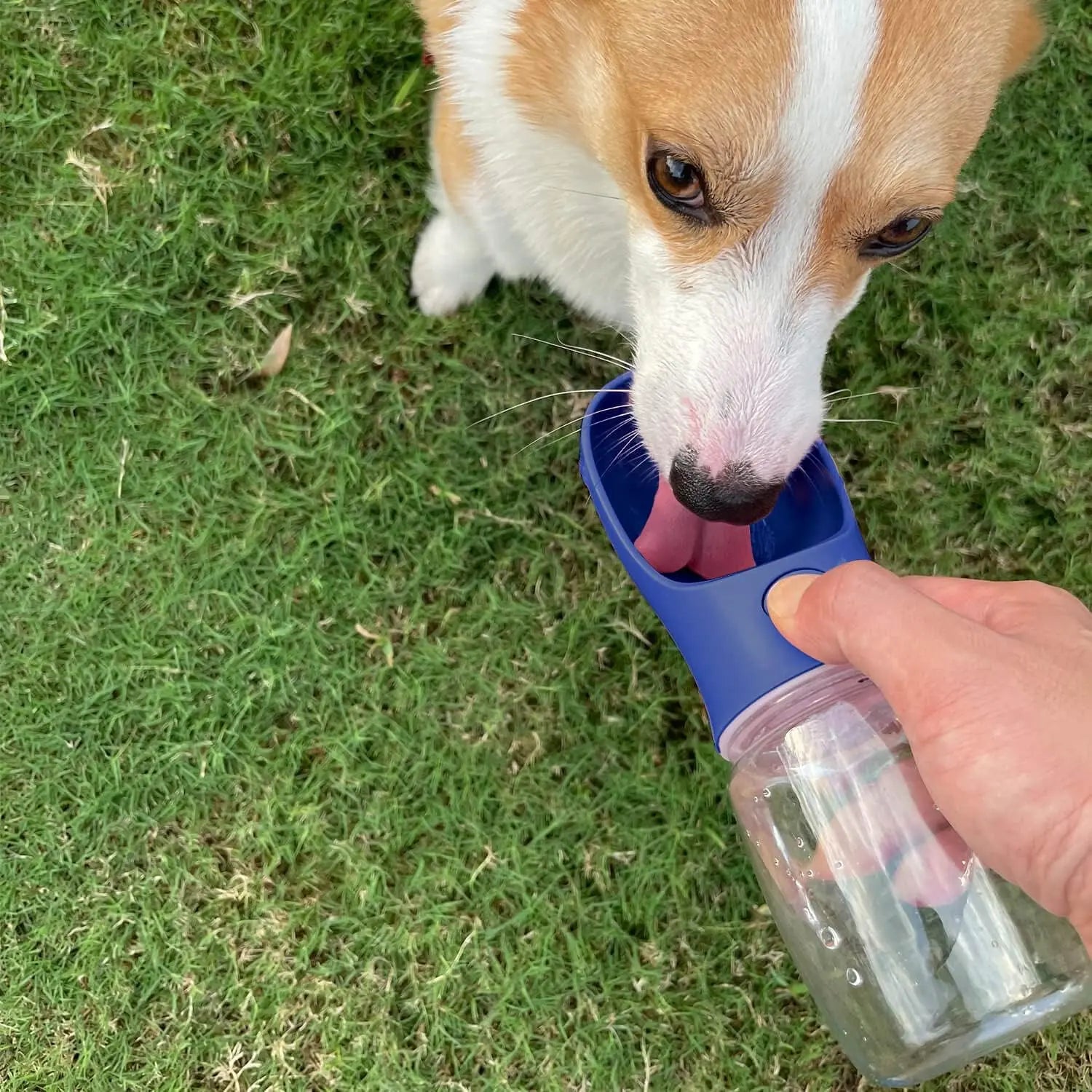 Portable Dog Water Bottle, 12 OZ, Leak Proof Puppy Water Dispenser with Drinking Feeder for Pets Outdoor Walking, Hiking, Travel, Food Grade Plastic Wholesale Hub