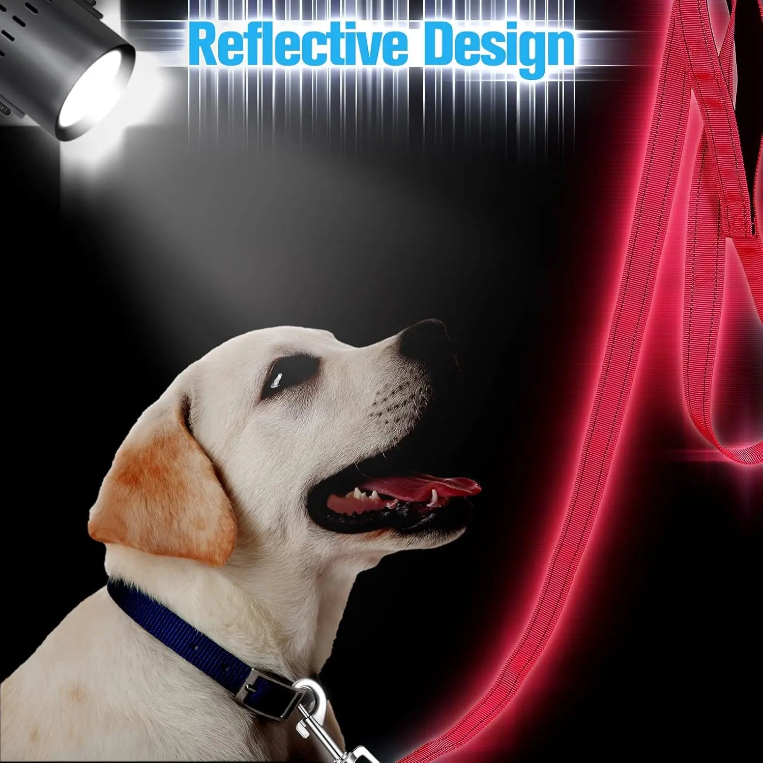 12 Pack Dog Leash Bulk, Double Sided Reflective, Nylon Leashes with Padded Handle for Small, Medium, and Large Dogs, 5 Feet Long, Puppy Walking Training Wholesale Hub