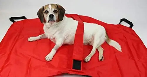 Transport Stretcher for Dogs - Emergency Animal Carrier with Safety Strap - 250 Pound Weight Limit - Pet Stretcher Wholesale Hub