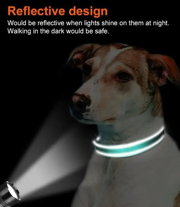 Reflective Dog Collar, Soft Neoprene Padded, Metal D-Ring, Nylon Pet Collar Adjustable for Large Dogs, Teal, L Teal (Pack of 1) Wholesale Hub