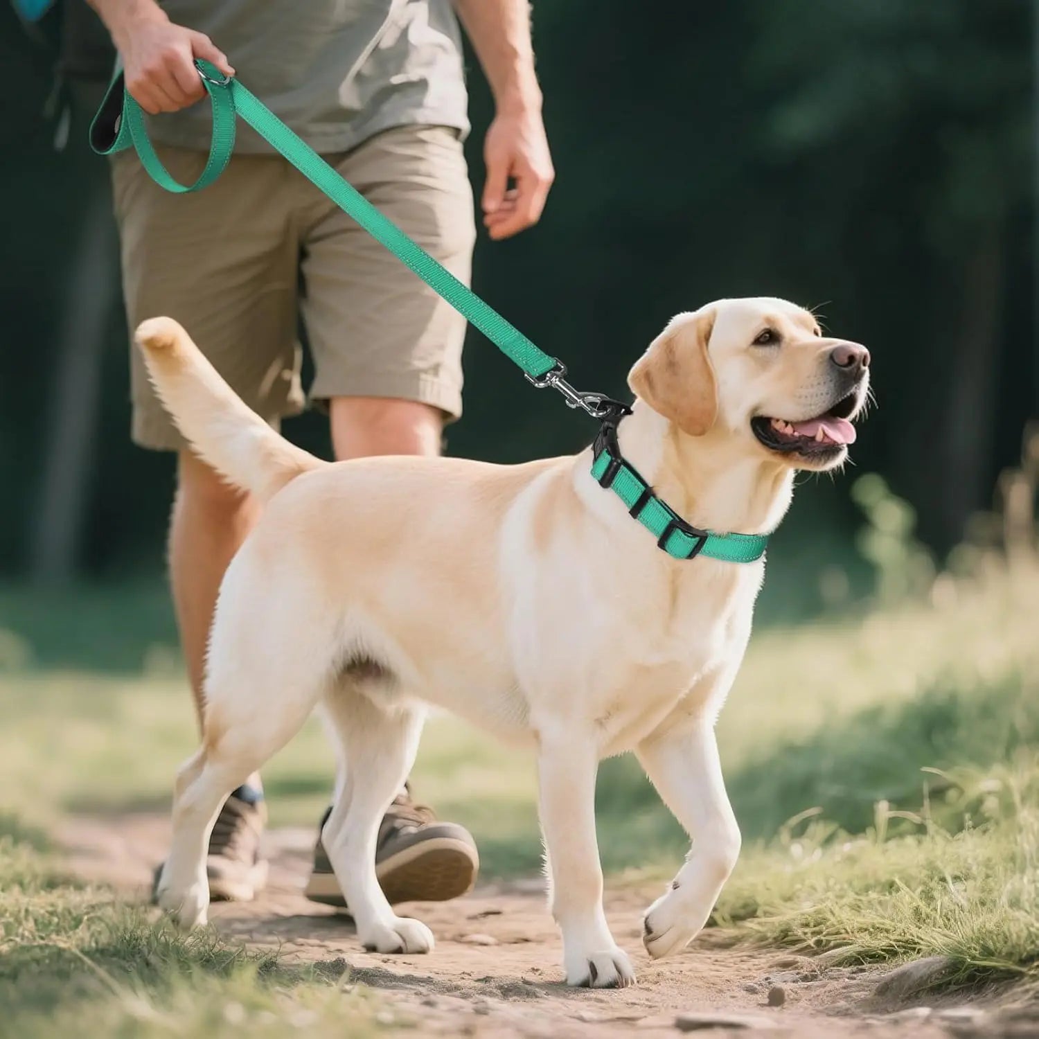 Reflective Dog Collar, Soft Neoprene Padded, Metal D-Ring, Nylon Pet Collar Adjustable for Large Dogs, Teal, L Teal (Pack of 1) Wholesale Hub