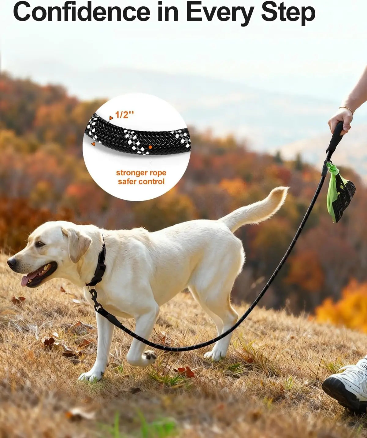 Dog Leash for Large Dogs, Heavy Duty Nylon Leashes with Comfortable Padded Handle and Highly Reflective Threads, Ideal Walking Training, Black, 6'×1/2'' Black 6FT×1/2'' (20~120 lbs) Wholesale Hub