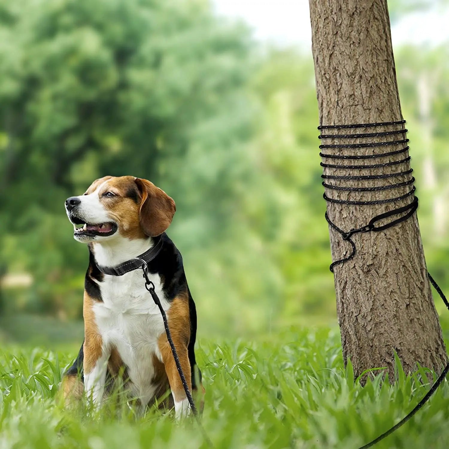 Long Dog Training Leash, 30 FT Tie Out Rope Check Cord with Padded Handle, Reflective Recall Lead for Puppy and Small Dogs, Black ft(Pack of 1) Wholesale Hub