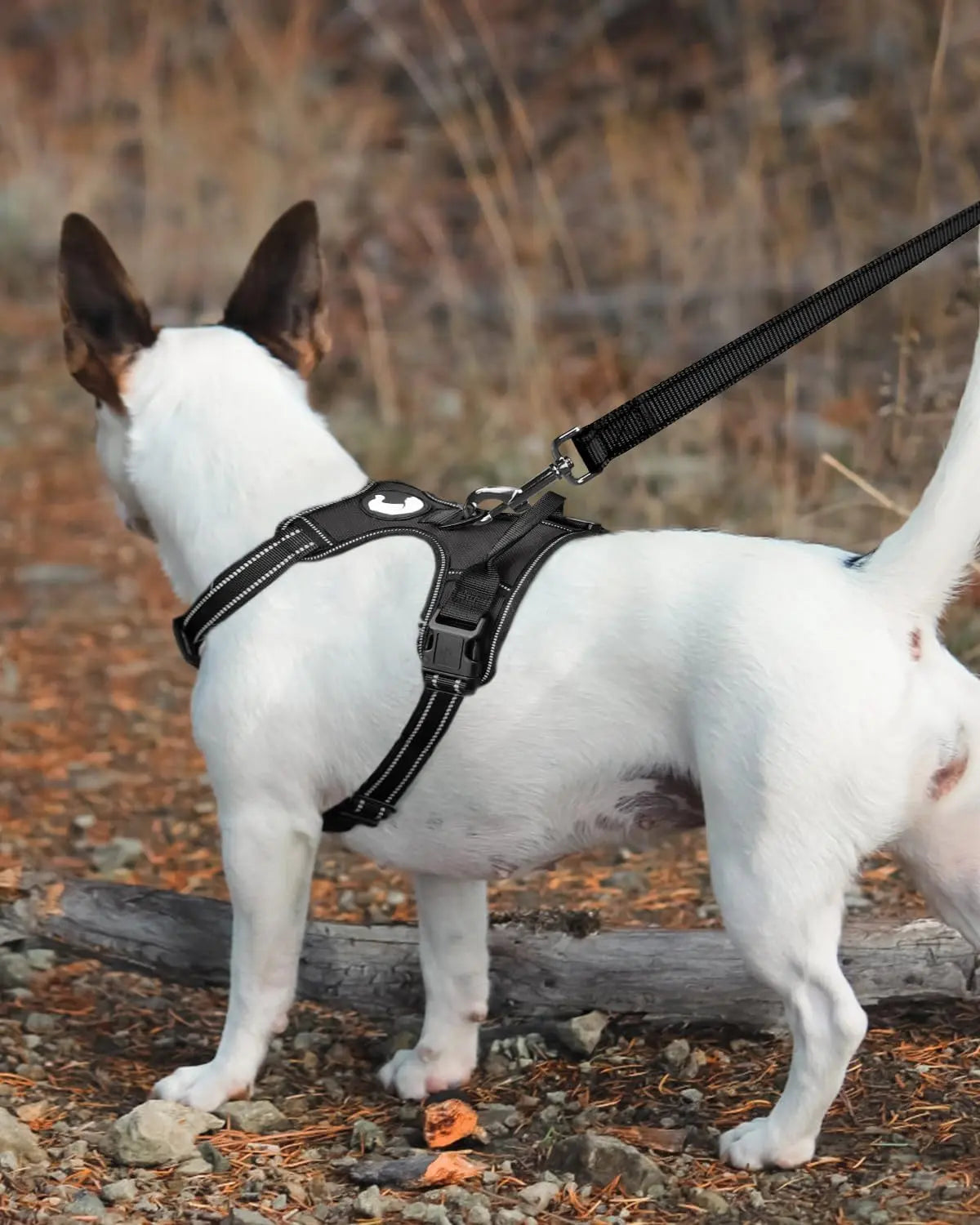 6FT × 1'' Dog Leash and Collar (18-28"), Reflective Soft Neoprene Padded Pet Collars Leashes for Extra Large Dog, Black - Wholesale Hub