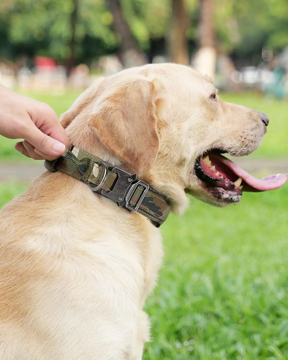 Tactical Dog Collar(17"-21") and Leash Set, Shock Absorbing Bungee Adjustable Strong Collar with Handle for Large Dogs(Camouflage, L) - Wholesale Hub