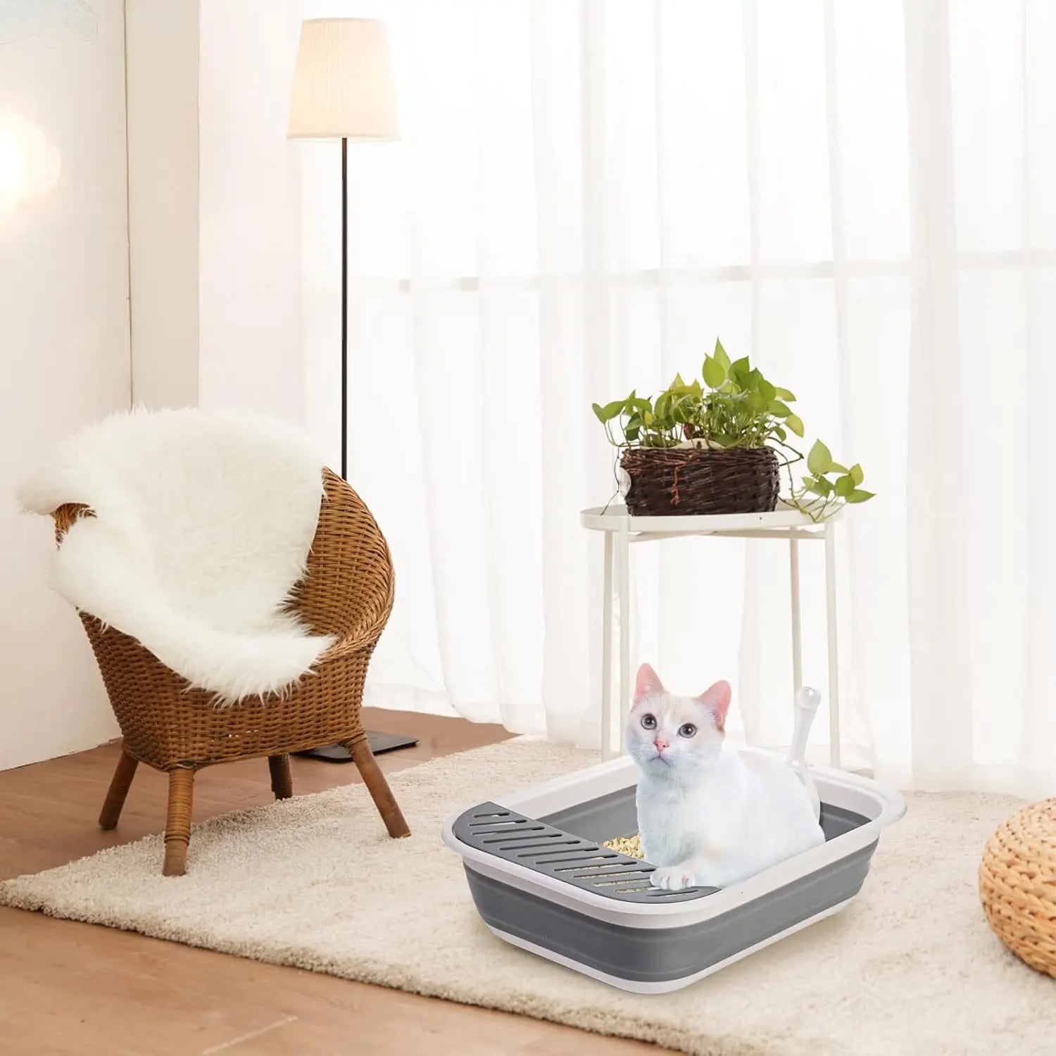 Collapsible Small Cat Litter Box, 17.7'' Open Foldable Kittens Potty with Scoop, Shallow Anti Splash Travel Toilet, Semi Enclosed Height Adjustable Sides Pan for Sick Frail Grey Wholesale Hub