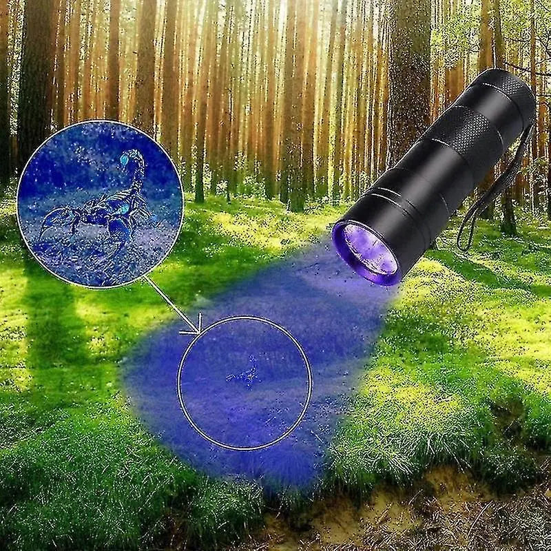 12 LED UV Flashlight Purple Ultraviolet Torch for Detection or Cleaning Use Wholesale Hub