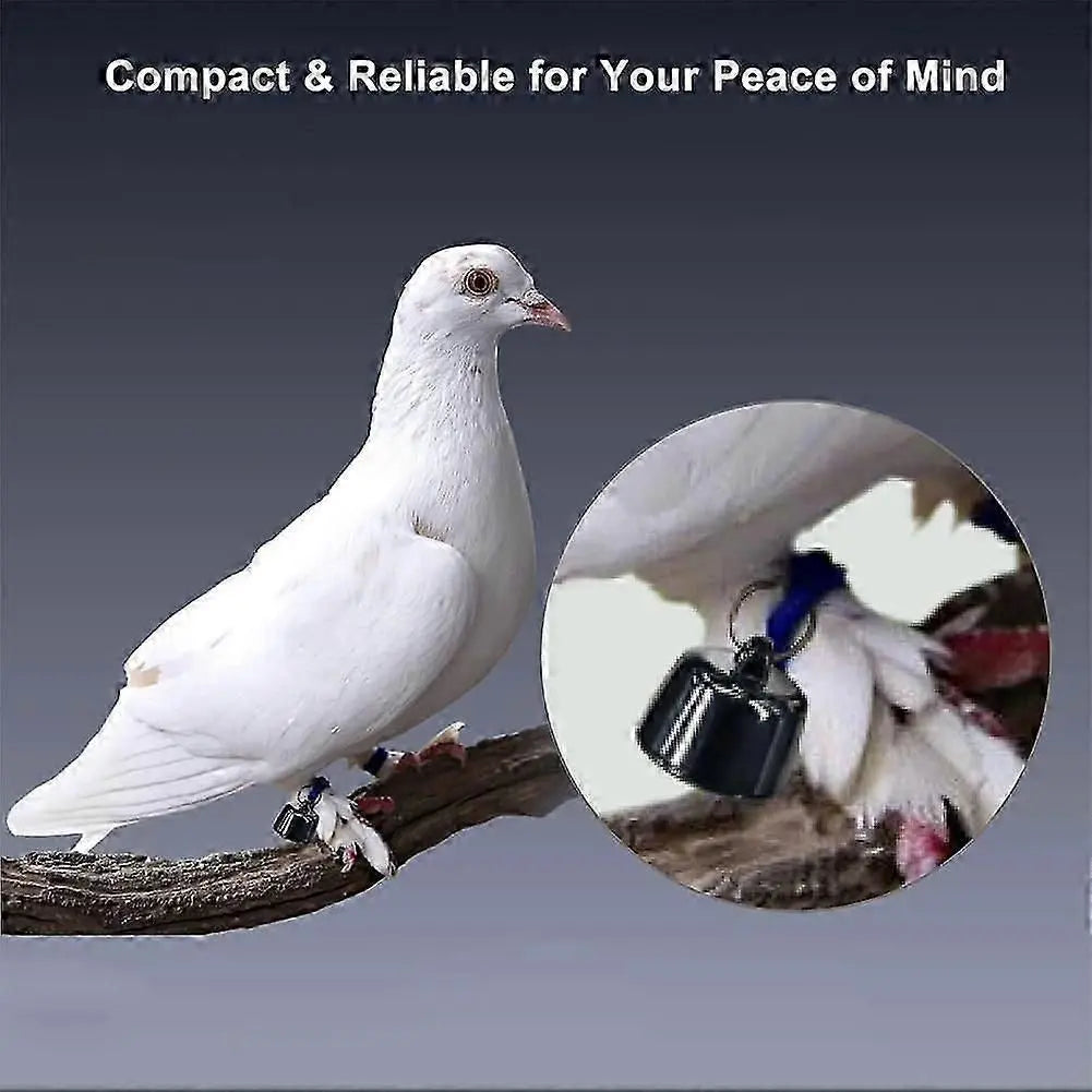Mini Smart Pet Tracker with Collar - GPS Real-Time Location for Cats Wholesale Hub