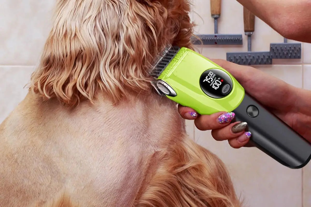 Dog Clipper Low Noise Dog Grooming Kit Rechargeable 3-Speed With LCD Display for Dogs Cats Pets Wholesale Hub