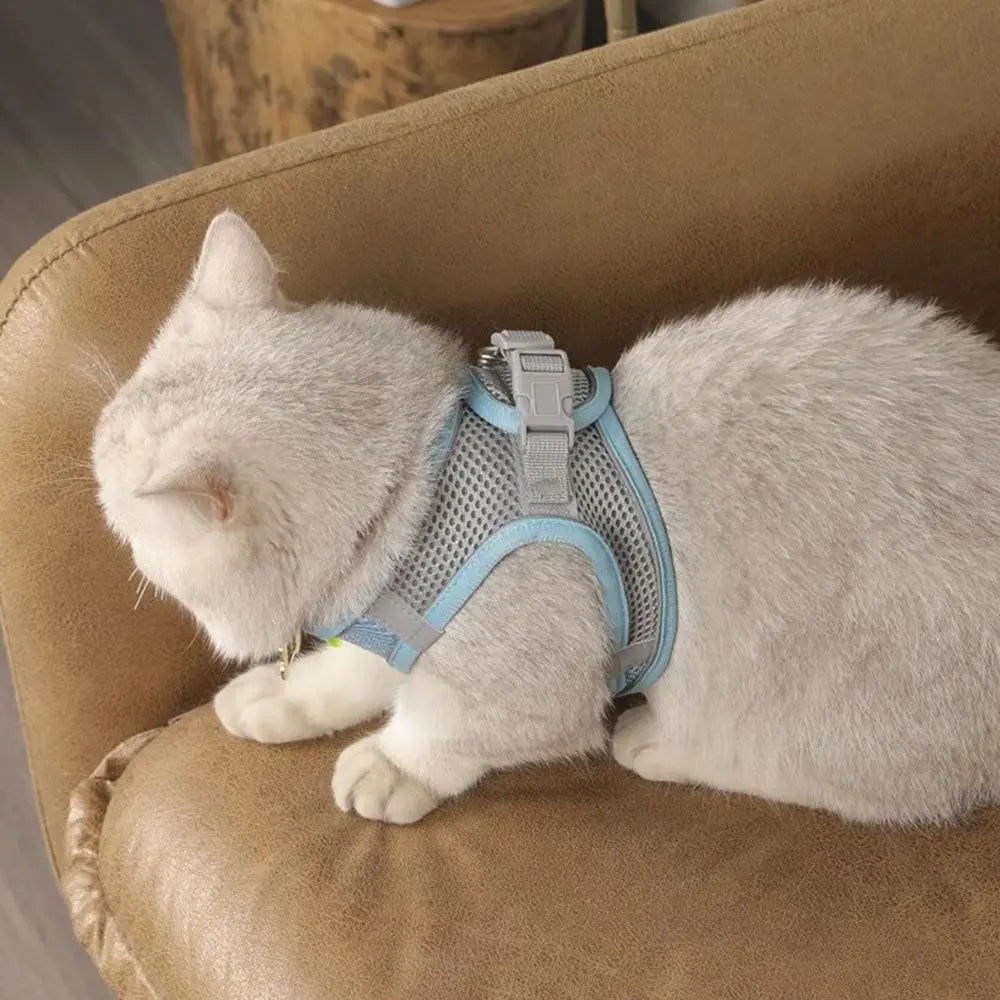 Pet Cat Harness and Leash Set Breathable Vest with Reflective Strip for Kitten Walking Traveling Blue Wholesale Hub