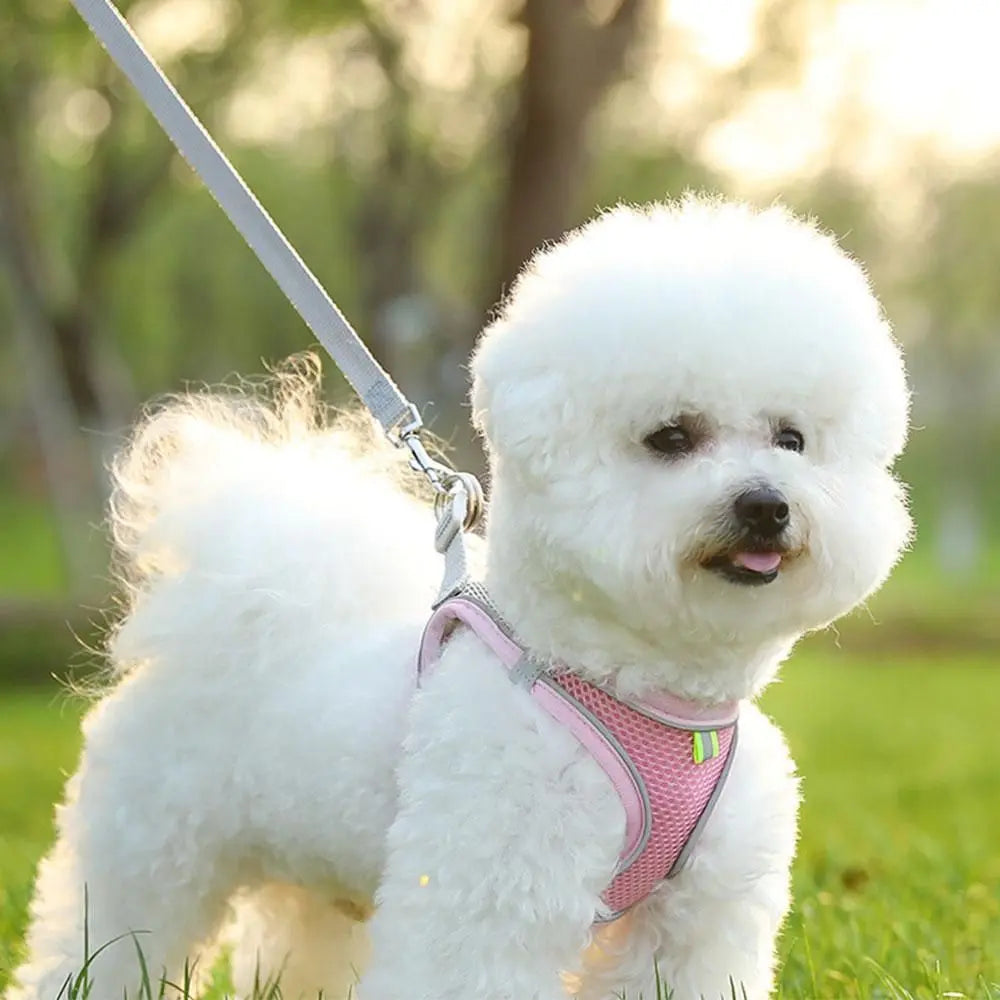 Pet Cat Harness and Leash Set Breathable Vest with Reflective Strip for Kitten Walking Traveling Pink Wholesale Hub