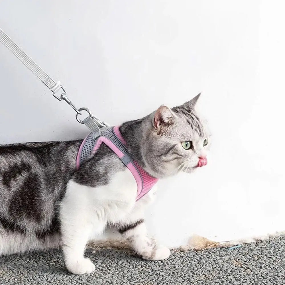 Pet Cat Harness and Leash Set Breathable Vest with Reflective Strip for Kitten Walking Traveling Pink Wholesale Hub
