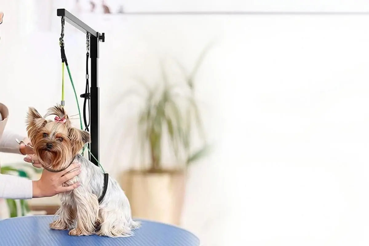 Dog Grooming Arm Pet Grooming Hammock Dog Grooming Stand with Loop Noose Wholesale Hub