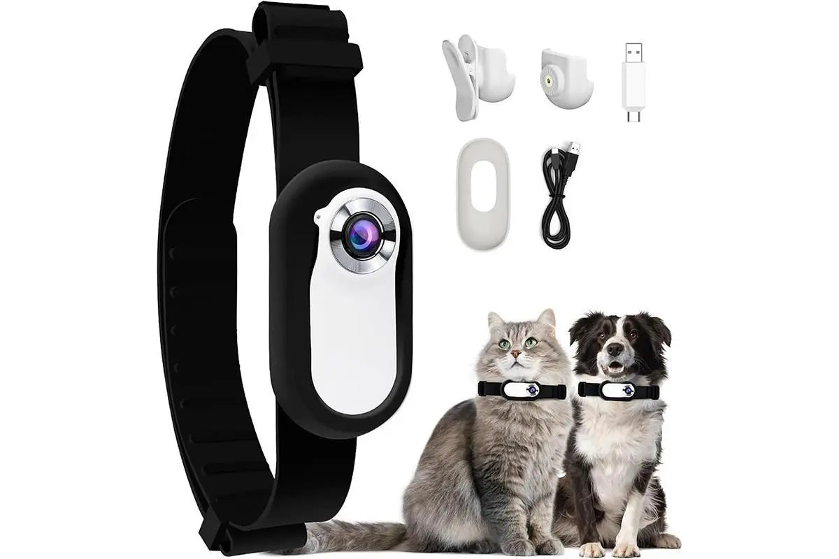 HD 1080P Dog Tracker Collar No WiFi No App Dog Collar Camera Dog Cat Pet Sport Action Camera Collar Mini Body Cam Wholesale Hub