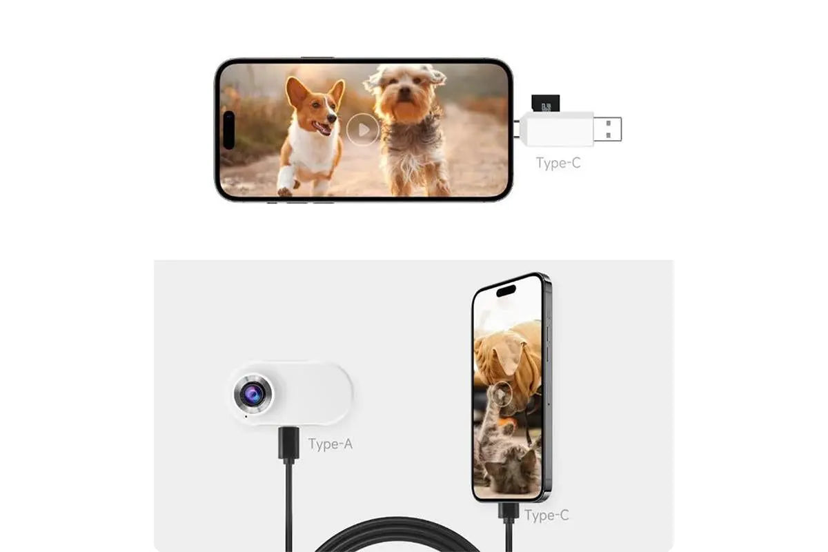 HD 1080P Dog Tracker Collar No WiFi No App Dog Collar Camera Dog Cat Pet Sport Action Camera Collar Mini Body Cam Wholesale Hub