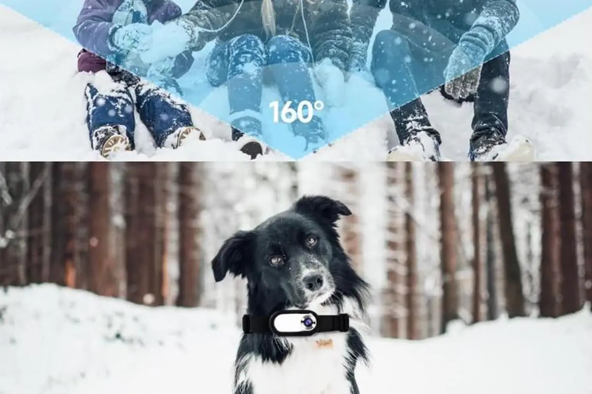 HD 1080P Dog Tracker Collar No WiFi No App Dog Collar Camera Dog Cat Pet Sport Action Camera Collar Mini Body Cam Wholesale Hub