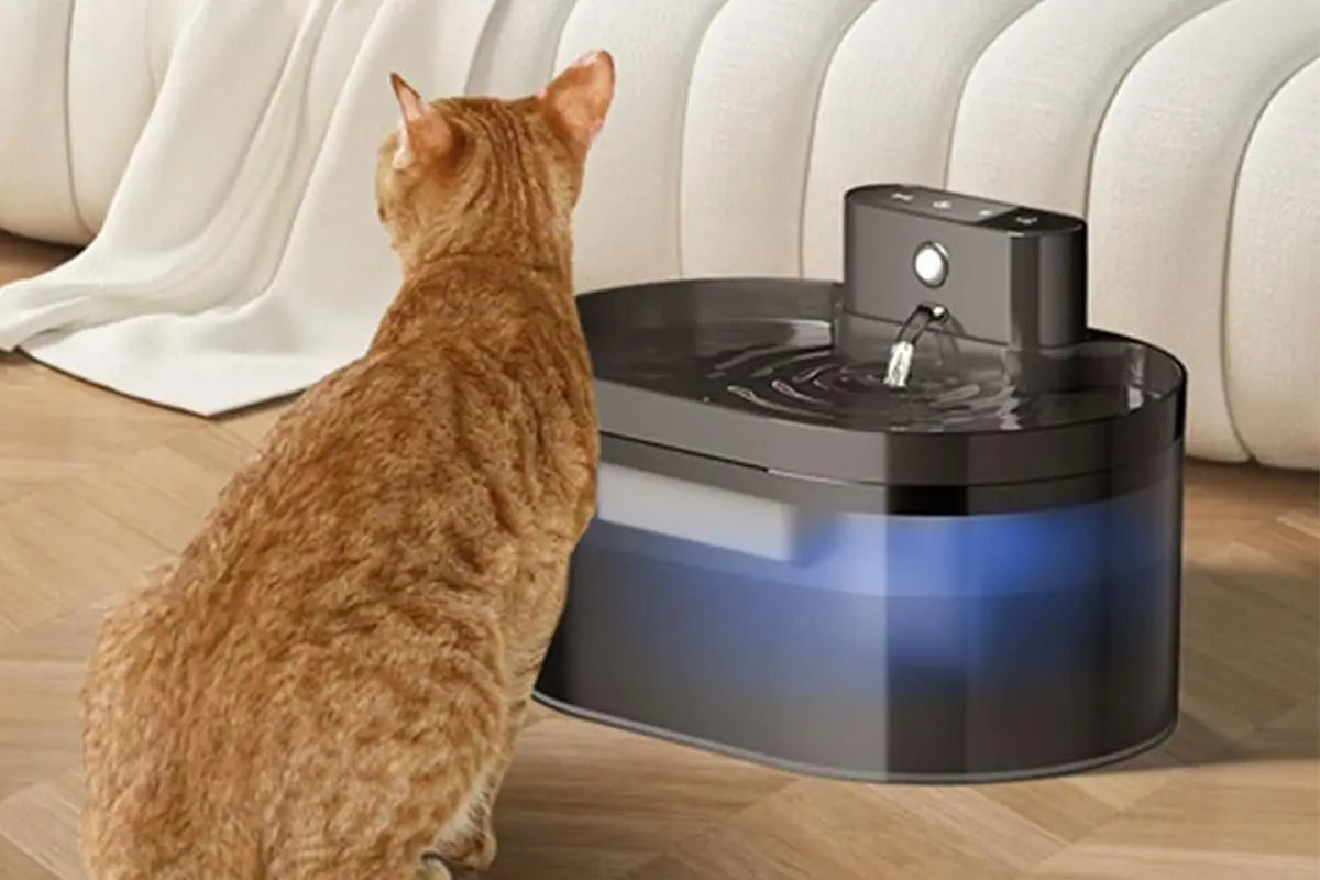 Automatic Electric Pet Water Fountain Dog Cat Drinking Dispenser with Filter Wholesale Hub