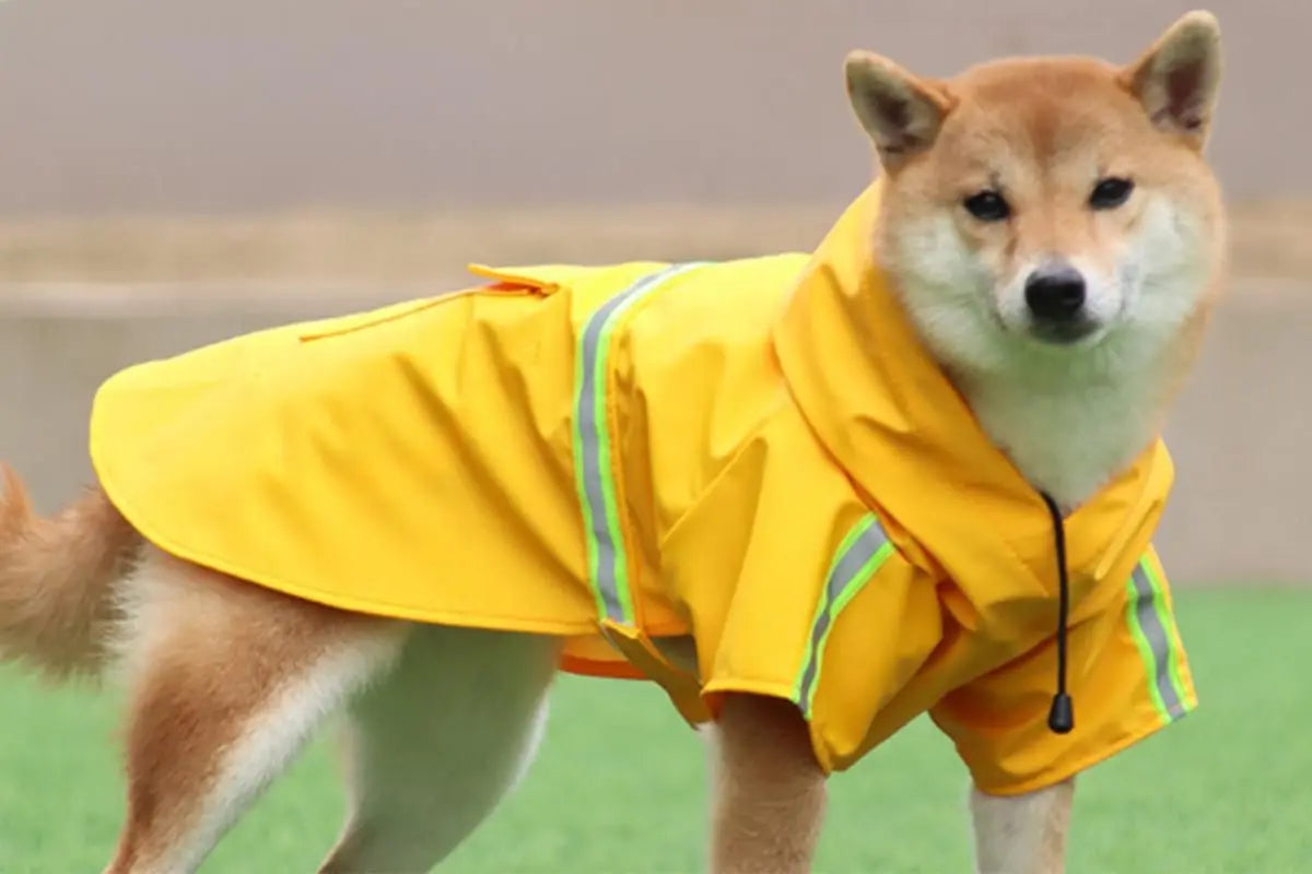 Pet Raincoat Outdoor Waterproof Dog Poncho for Small and Medium Dogs - Yellow Wholesale Hub