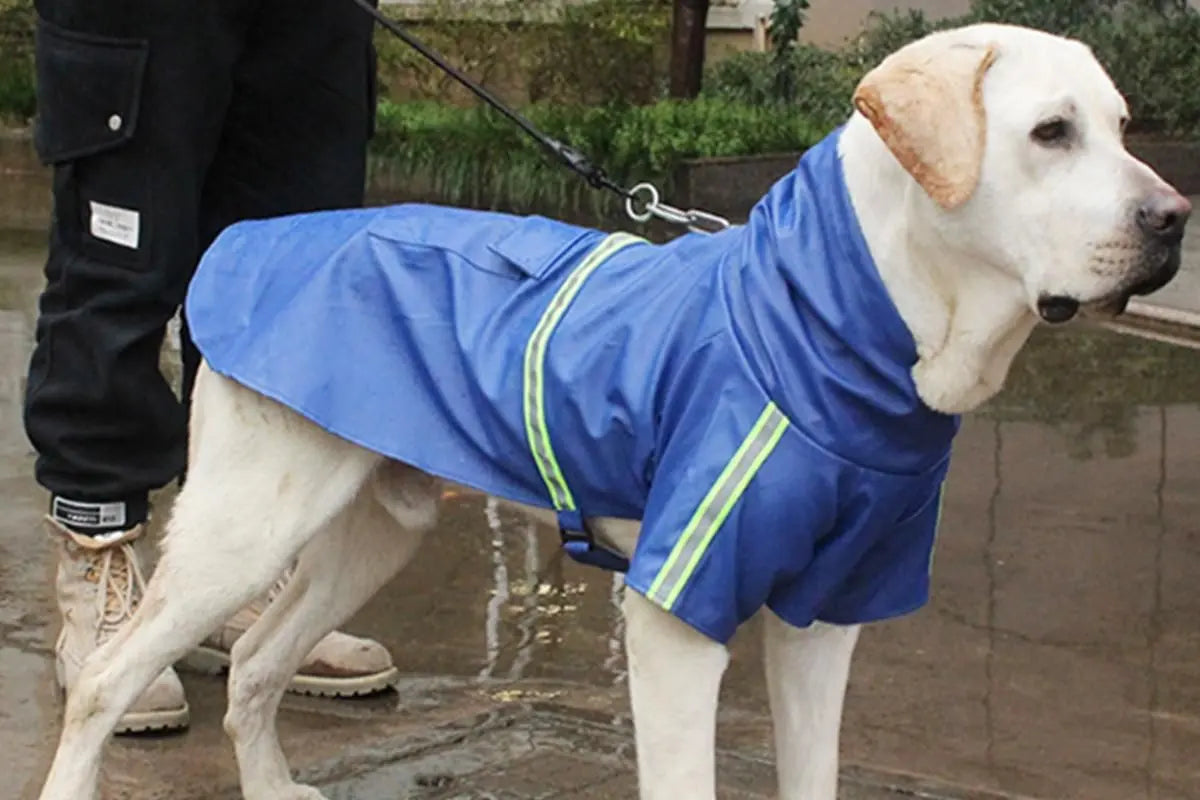 Pet Raincoat Outdoor Waterproof Dog Poncho for Small and Medium Dogs - Blue Wholesale Hub