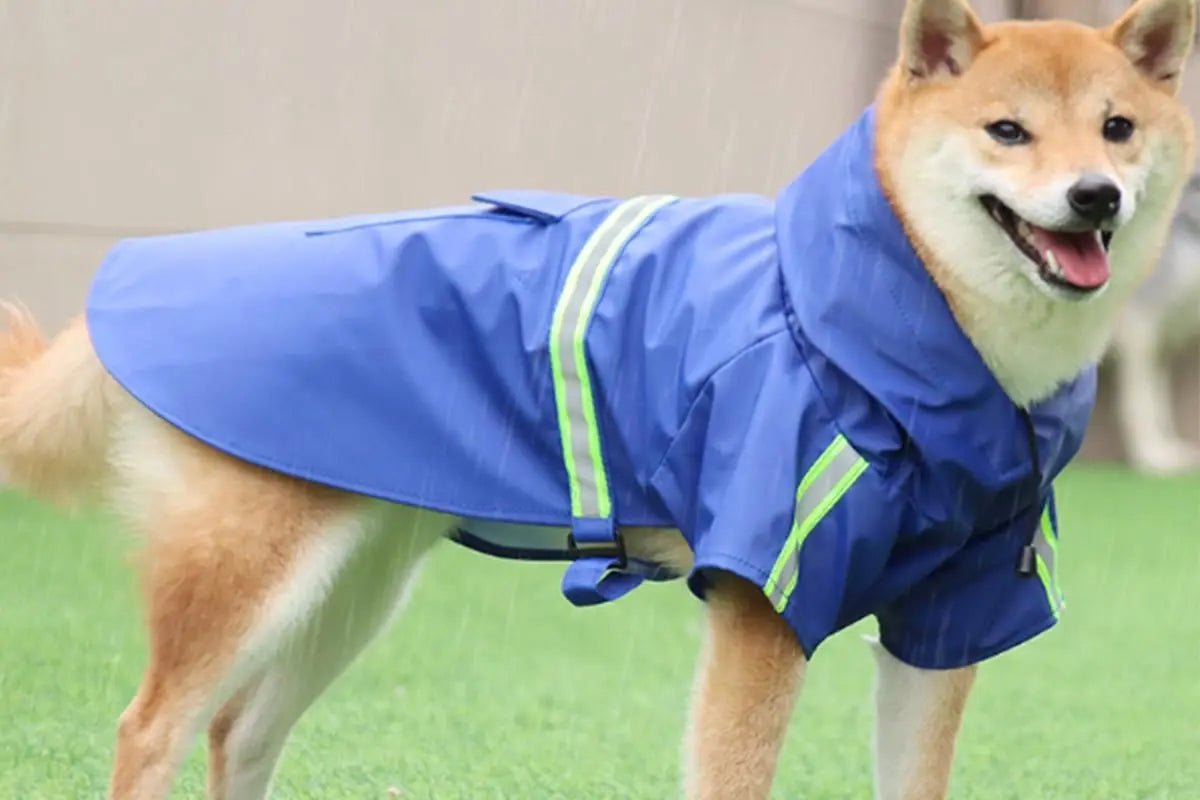 Pet Raincoat Outdoor Waterproof Dog Poncho for Small and Medium Dogs - Blue Wholesale Hub
