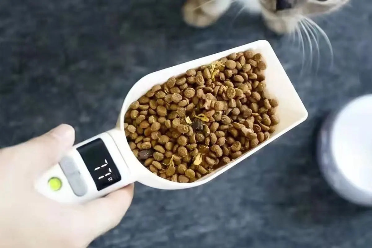 Digital Pet Weighing Spoon High Accuracy Detachable Kitchen Spoon Scale Wholesale Hub