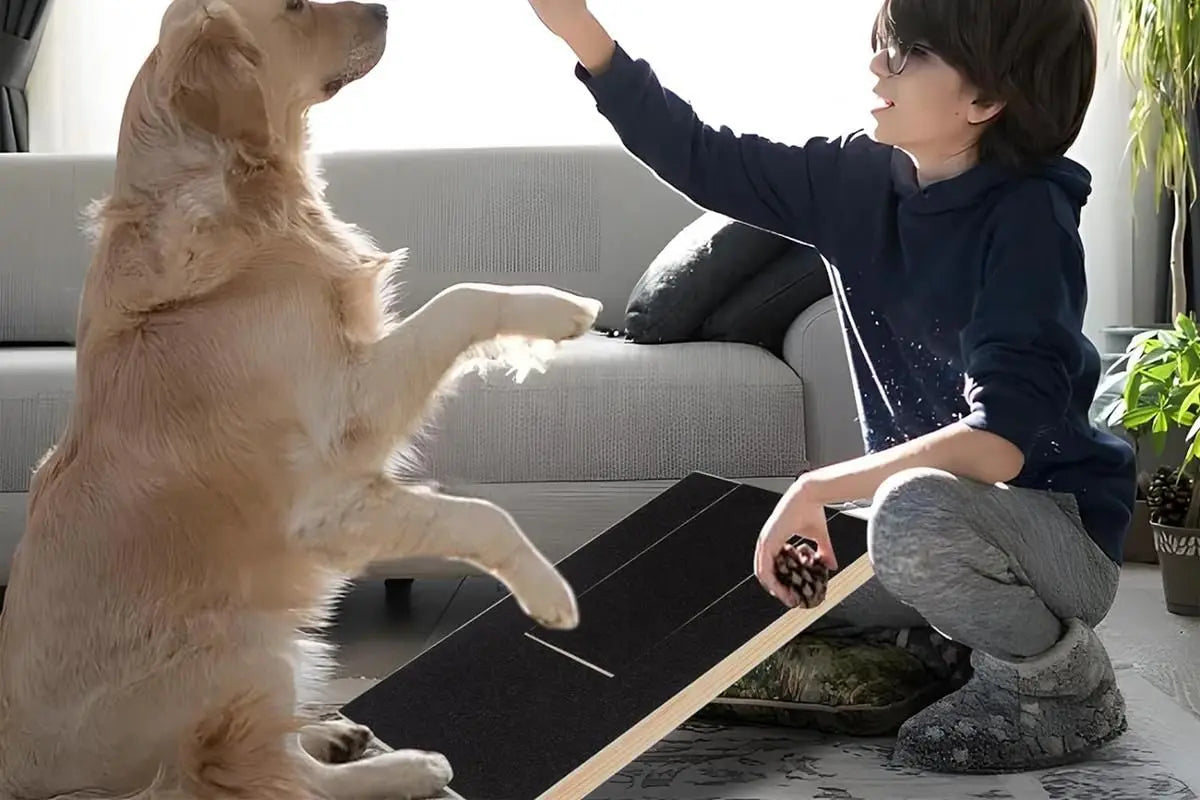 Dog Scratch Pad for Nails Scratching Board with Treat Box Wholesale Hub