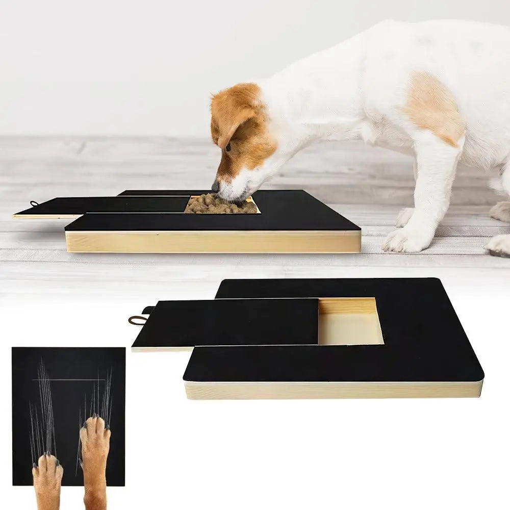 Dog Scratch Pad for Nails Scratching Board with Treat Box Wholesale Hub