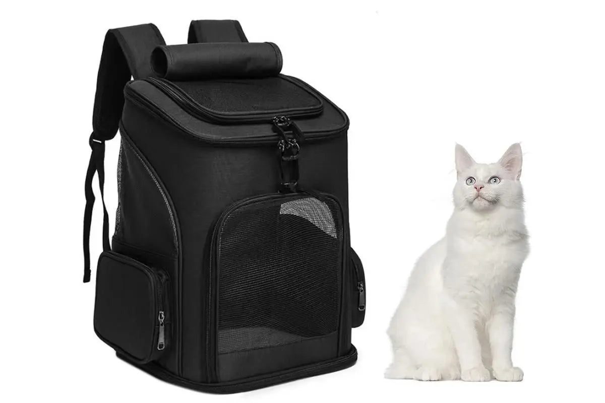 Expandable Large Cat Backpack Carrier for Small Pets - Black Wholesale Hub