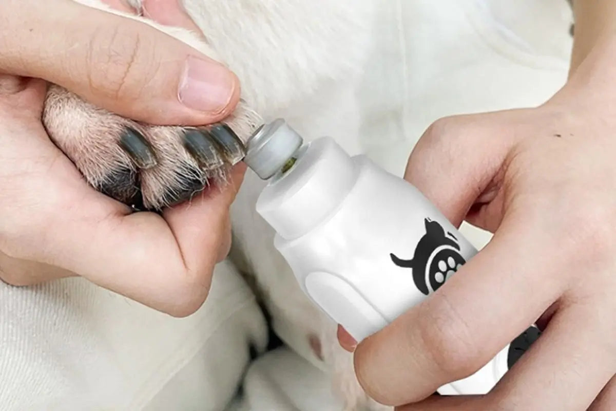 Pet Nail Grinder with LED Display Dog Nail Trimmers With 3 Speeds For Small Large Dogs And Cats Wholesale Hub