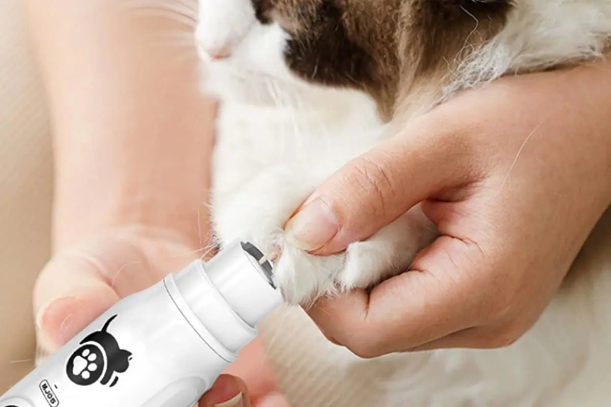 Pet Nail Grinder with LED Display Dog Nail Trimmers With 3 Speeds For Small Large Dogs And Cats Wholesale Hub