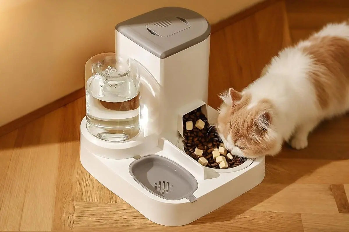 2 in 1 Automatic Cat Feeder and Waterer Ceramic Pet Bowl for Cats and Small Dogs Wholesale Hub