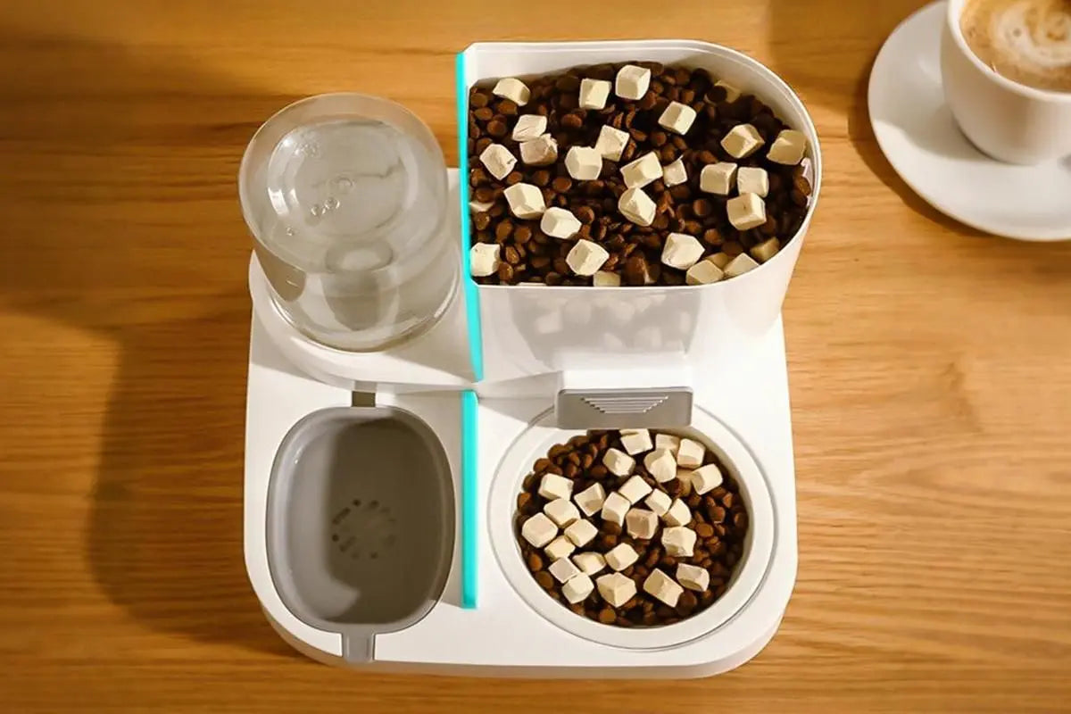 2 in 1 Automatic Cat Feeder and Waterer Ceramic Pet Bowl for Cats and Small Dogs Wholesale Hub