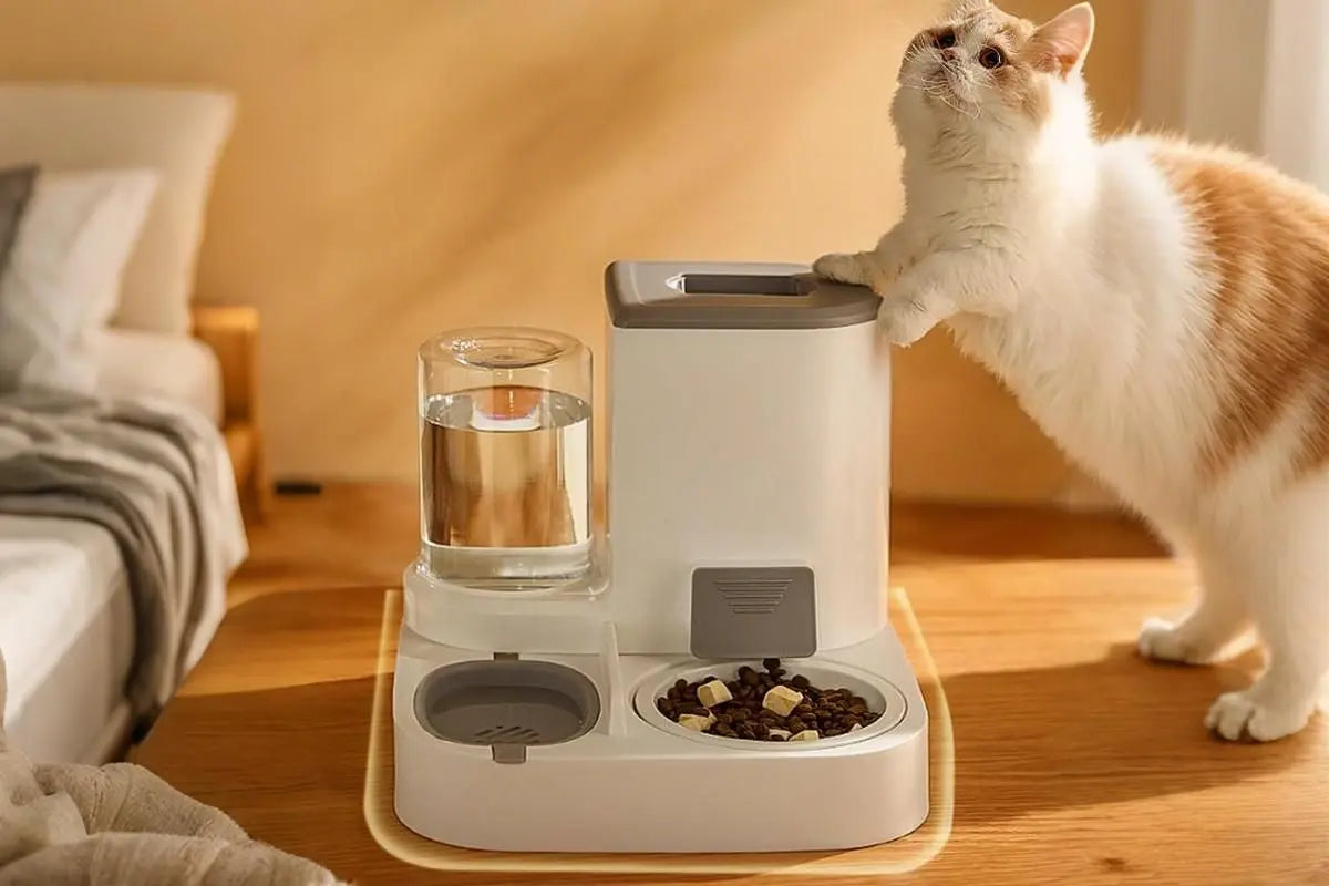 2 in 1 Automatic Cat Feeder and Waterer Ceramic Pet Bowl for Cats and Small Dogs Wholesale Hub