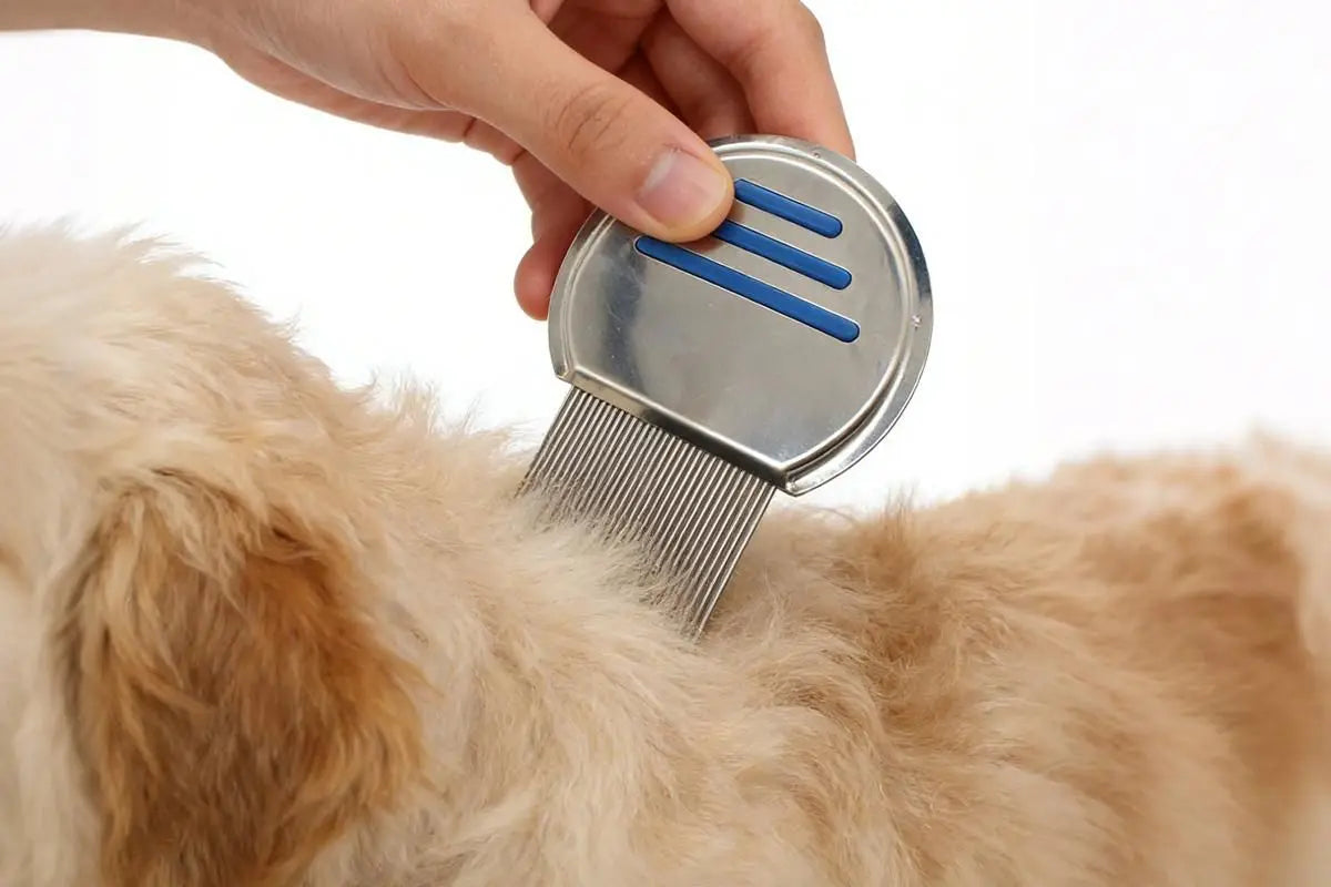 Stainless Steel Pet Flea Comb Fine Tooth Grooming Tool for Dogs Cats - Blue Wholesale Hub