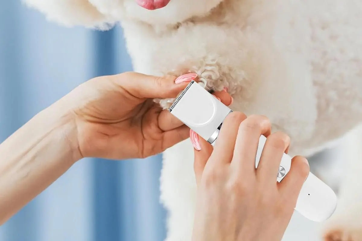 4-in-1 Dog Clipper Dog Grooming Kit with 4 Blade Heads -White Wholesale Hub