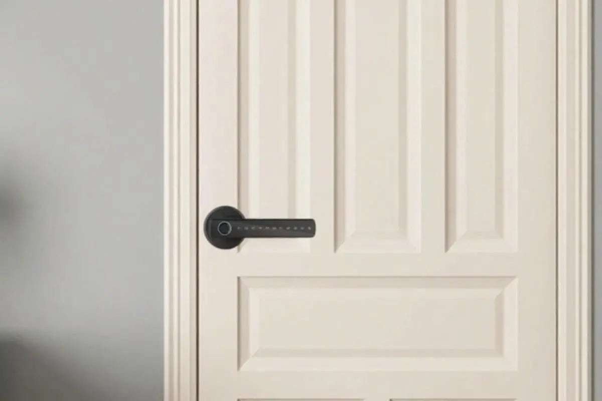 5 in 1 Smart Door Lock Fingerprint Door Knob with IC Cards and Backup Keys - Black Wholesale Hub