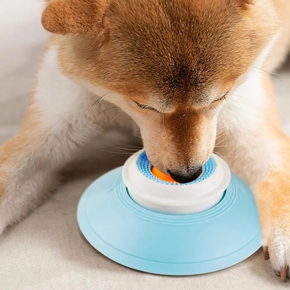 2PCS Non-Slip Slow Feeder Bowl for Dogs & Cats Wholesale Hub