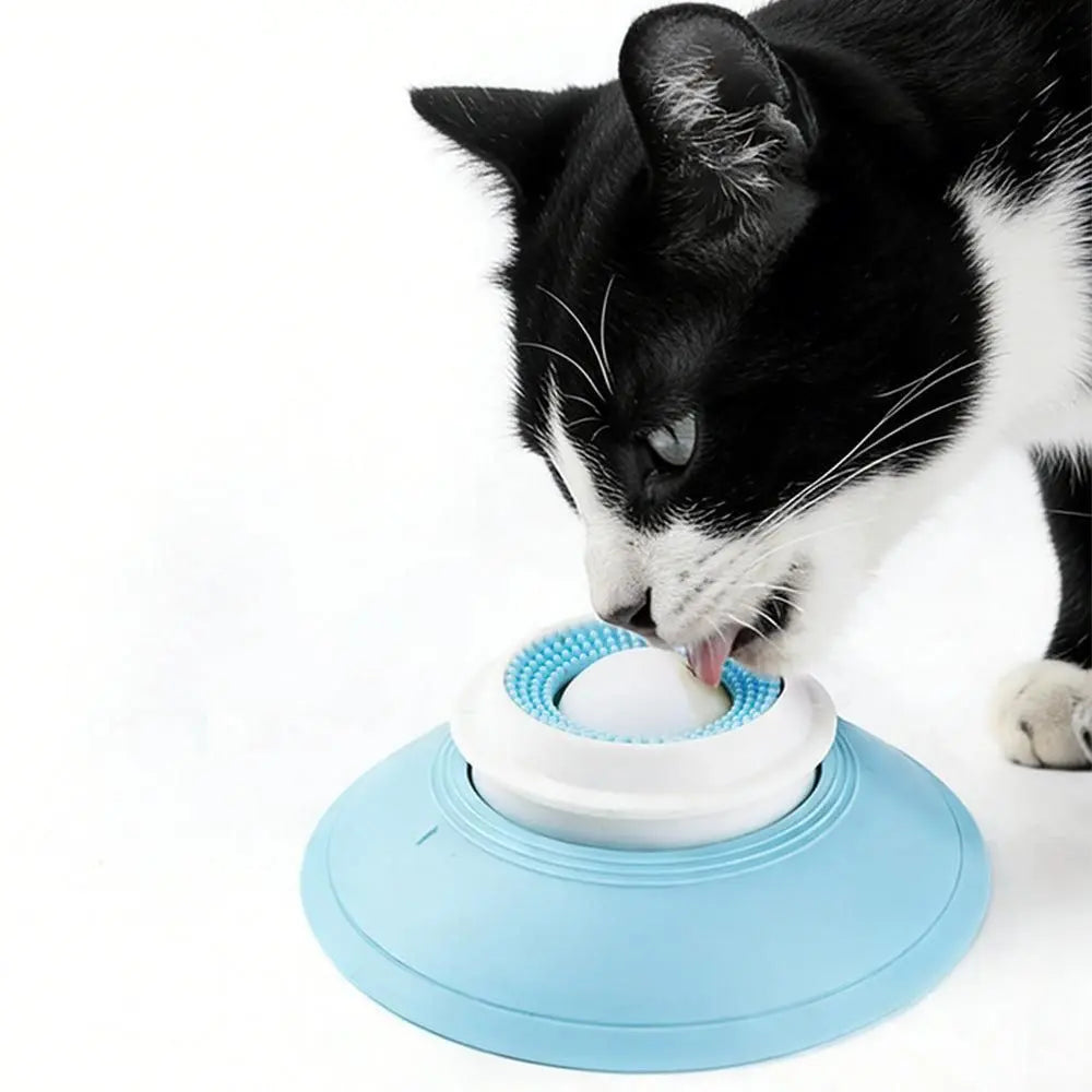 2PCS Non-Slip Slow Feeder Bowl for Dogs & Cats Wholesale Hub