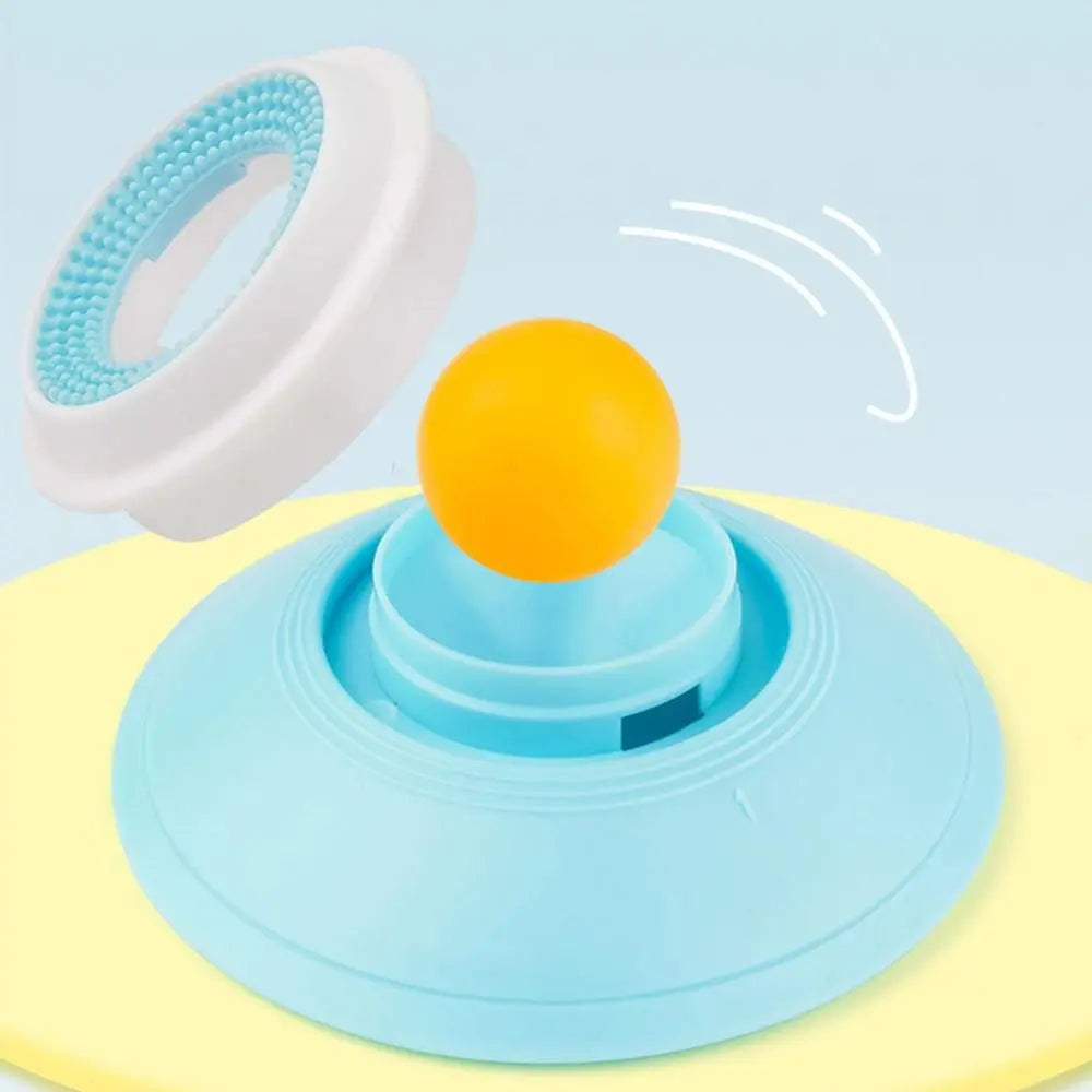 2PCS Non-Slip Slow Feeder Bowl for Dogs & Cats Wholesale Hub