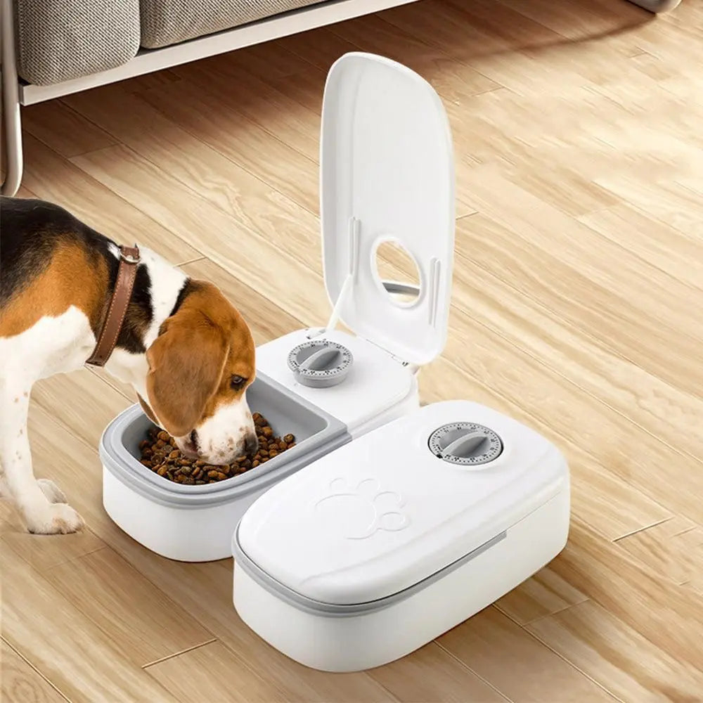 Timer Controlled Pet Feeder for Cats & Small Dogs Wet/Dry Food Style 2 Wholesale Hub