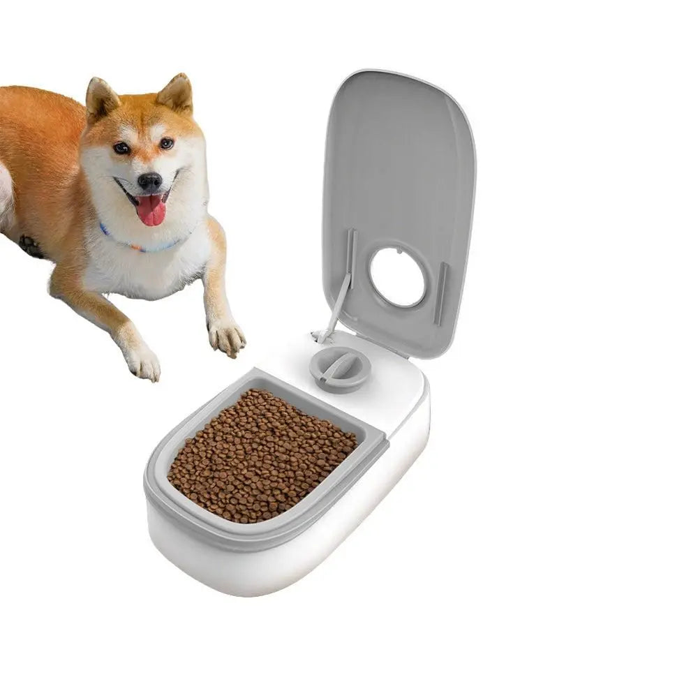 Timer Controlled Pet Feeder for Cats & Small Dogs Wet/Dry Food Style 2 Wholesale Hub