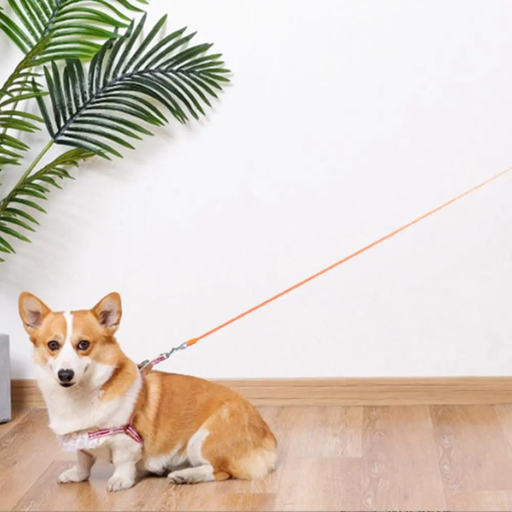 5M RGB Light Pet Leads Retractable Traction Rope Pet Cat Dog Leash Orange Wholesale Hub