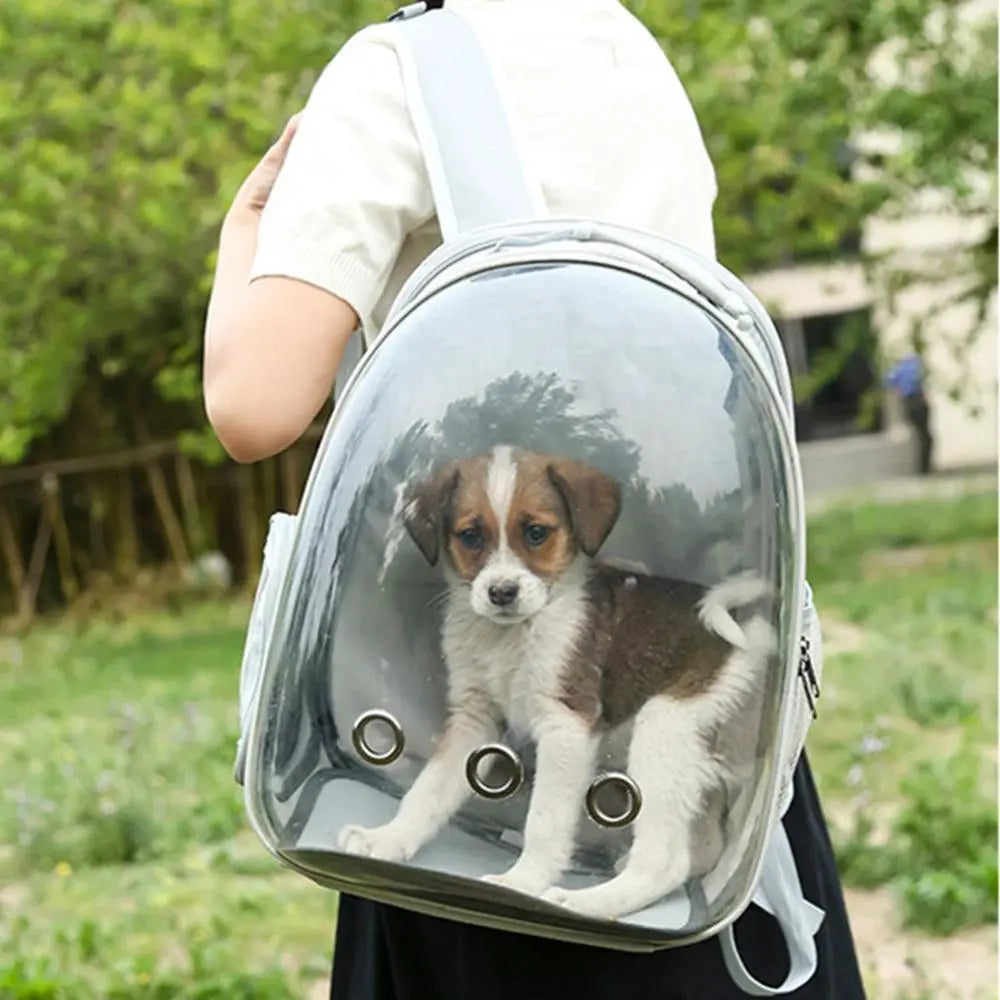 Expandable Travel Cat Backpack Carrier Polarized Tinted Bubble Window Pet Backpack Grey Wholesale Hub