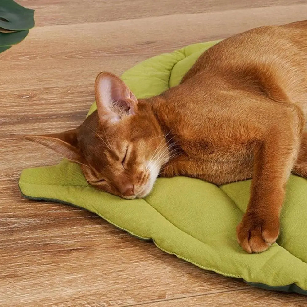 Double-Sided Available Pet Mattress Pad Leaf Shape Puppy Cat Bed Mat Style 1 Wholesale Hub