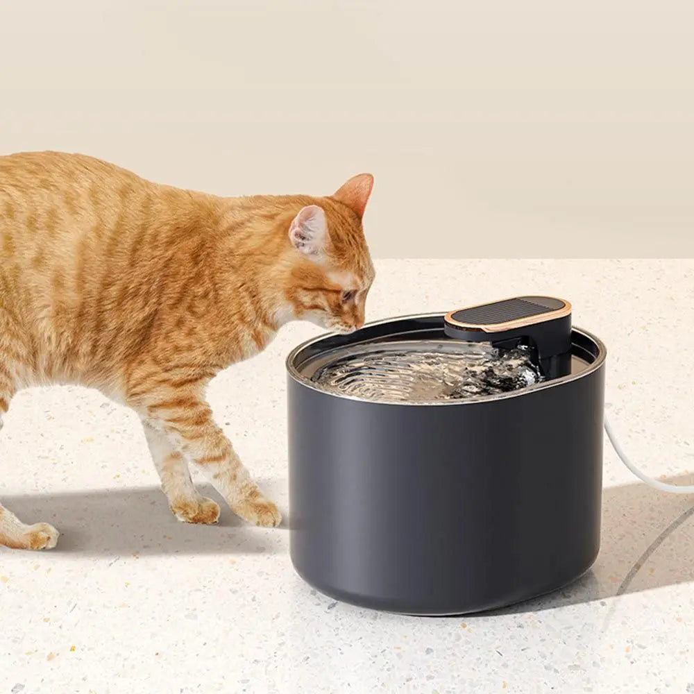 Pet Water Fountain Cat Dog Automatic Electric Drinking Dispenser with Red Light Indicator Black Wholesale Hub