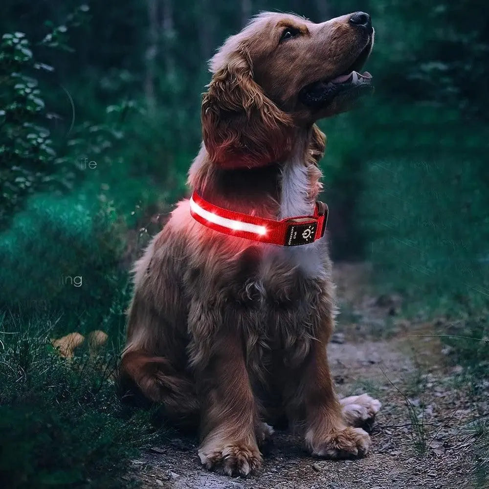 Luminous LED Pet Dog Collar Light-up USB Rechargeable Dog Collar Red - S Wholesale Hub