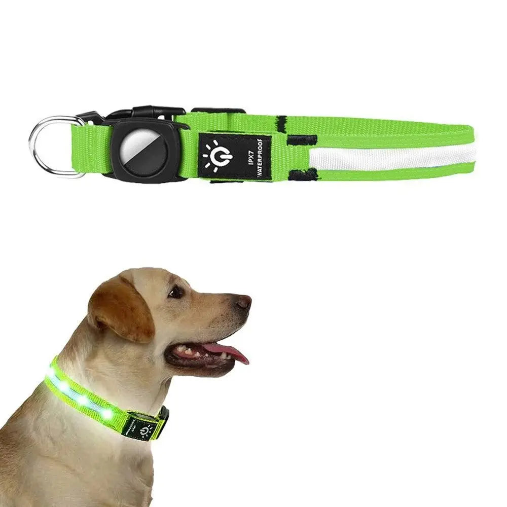 Luminous LED Pet Dog Collar Light-up USB Rechargeable Dog Collar Green - M Wholesale Hub