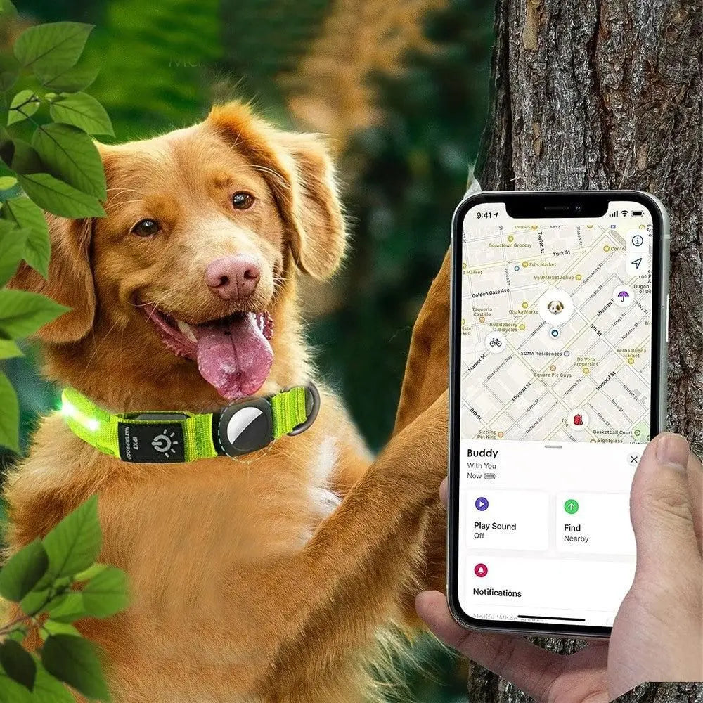 Luminous LED Pet Dog Collar Light-up USB Rechargeable Dog Collar Green - L Wholesale Hub