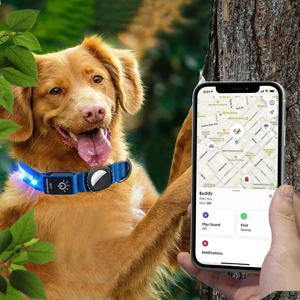 Luminous LED Pet Dog Collar Light-up USB Rechargeable Dog Collar Blue - S Wholesale Hub