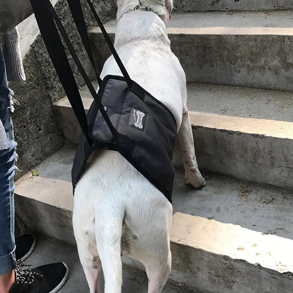 Pet Dog Support Harness Walking Vest Dog Sling Support Sling Gray - S Wholesale Hub